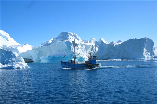 The great icebergs strand at the mouth of the Ilulissat Icefjord