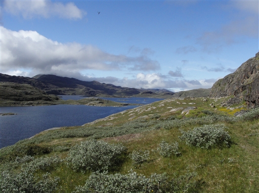 The trekking area towards the edge of the ice cap