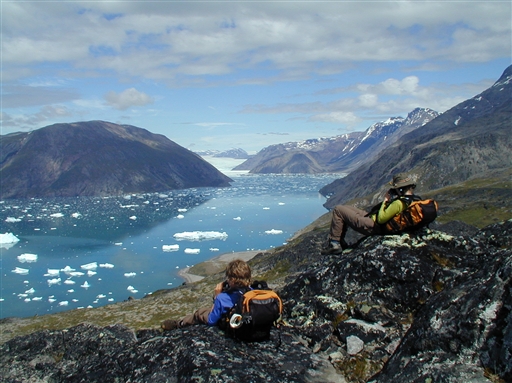 View of the Qoorooq fjord and the middleland near Igaliko