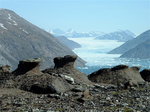 View from 