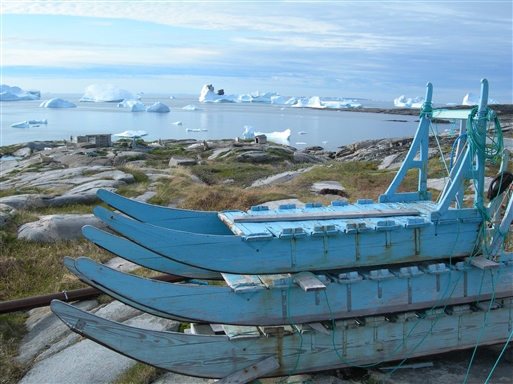 The dog sledges are stacked in summertime waiting for the winter to kick in