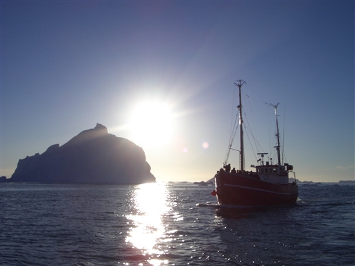Midnight sun - found in this part of Greenland throughout most of the summer