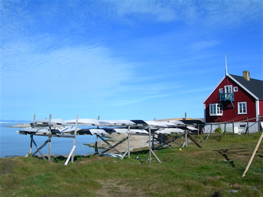 Kajaks still have a presence in the Greenlandic society