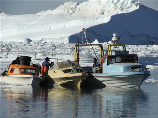 Halibut fishing often takes place at the mouth of the Kangia Icefiord