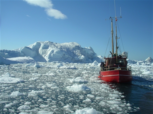 Boat trip in the middle of the icy waters of the Disko Bay
