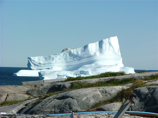 Iceberg almost on land..
