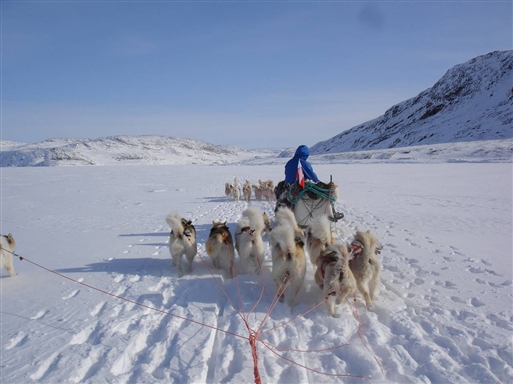 On the sledge Tasiussaq fiord.
