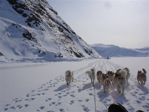 Sleding over the fiord