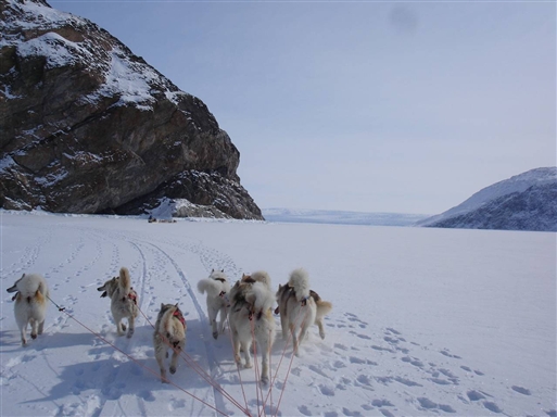 On the Tasissaq fiord. Inland ice in the horsiont