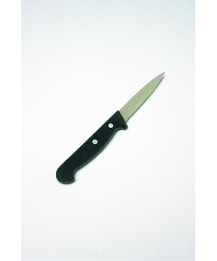 Dick kniv 4070-10