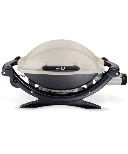 Weber Q 100