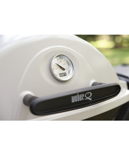 Weber Q120 med sort låg