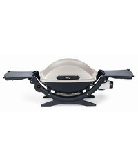 Weber Q 120