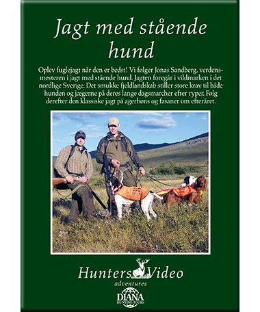 Jagt med stående hund