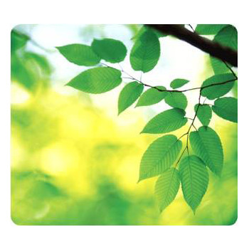 Fellowes Musemåtte, Earth Series Leaves