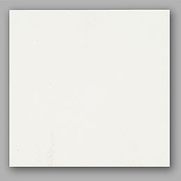 SERVIET 2-L 24X24CM 200STK/PAK