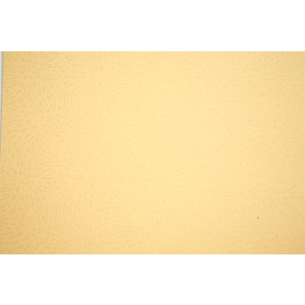 Paper Concept, 21x30 cm, beige, abstrakte blomster, 10 ark