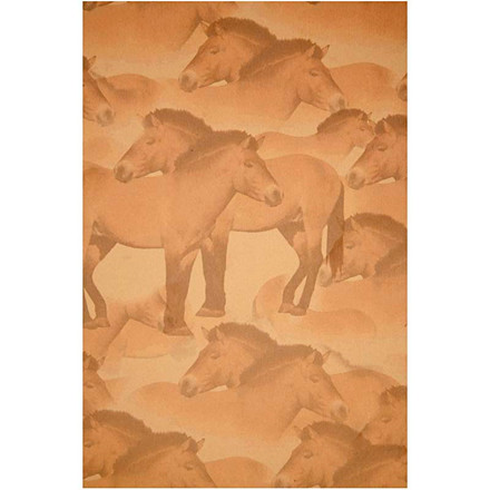 Printet Karton, 21x30 cm, beige, hest, 5 ark
