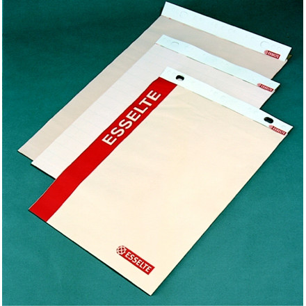 FLIPOVERLØSBLADE ESSELTE 83X59 ULINIERET