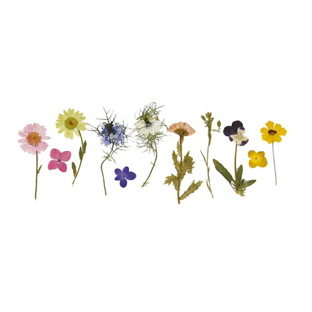 Tørrede blomster, 240 ass.