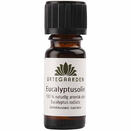 Eucalyptusolie, N, 10 ml