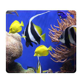 Fellowes Mouse pad, Earth Series Under The Sea