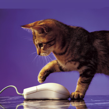 Fellowes Musemåtte Optisk, Cat & Mouse