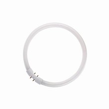 2GX13 FSCH - 20W