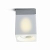Ice Cube Downlight