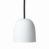 Super 115 Pendel