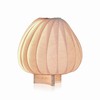 TR12 Birk Bordlampe