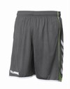 hummel Team Spirit shorts unisex grå