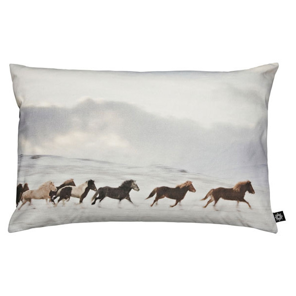 FOTOPRINT ISLANDSKE HESTE I GALLOP PUDE