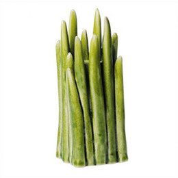 GRASS VASE LILLE