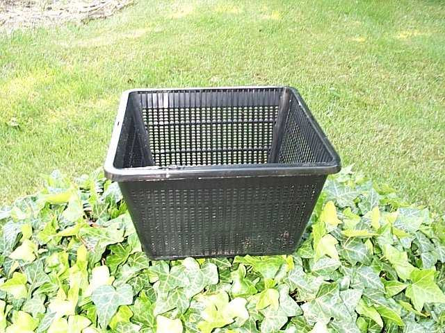 Vandplante kurv firkant 18x18 cm
