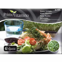 Karse, Organic - Frø (N5659)