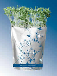 Grab n' grow Broccoli (Udgår)