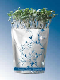 Grab n' grow Ruccola (Udgår)