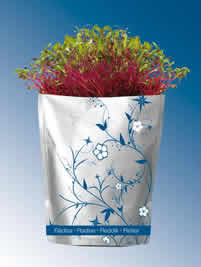 Grab n' grow Radiser (Udgår)