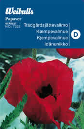 Kæmpevalmue - Papaver orientale - Scarlet - Frø (W7033)