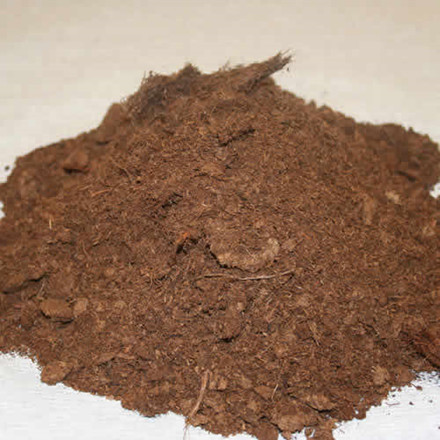 Champost Sphagnum, fin Bigbag 5m3