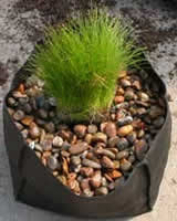 Vandplantepose 25 x 25 x 20cm.