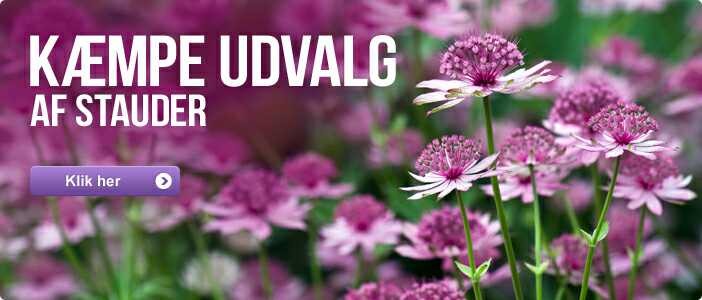 video swingerclub sex uden følelser video swingerclub sex uden følelser