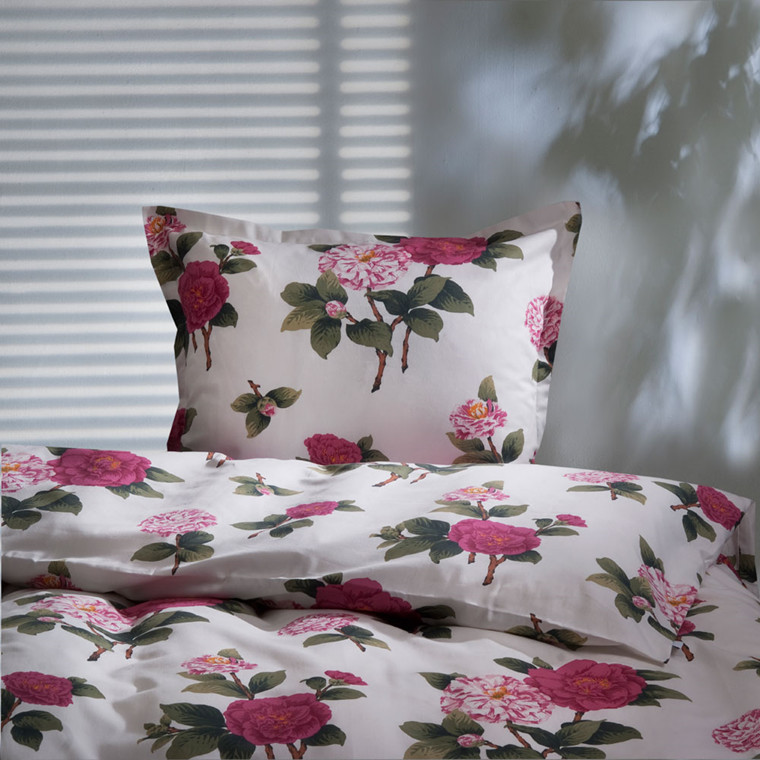 Camelia i fv. rosa 