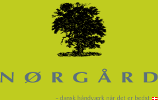 Villy Nørgaard