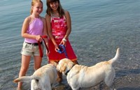 hund.jpg