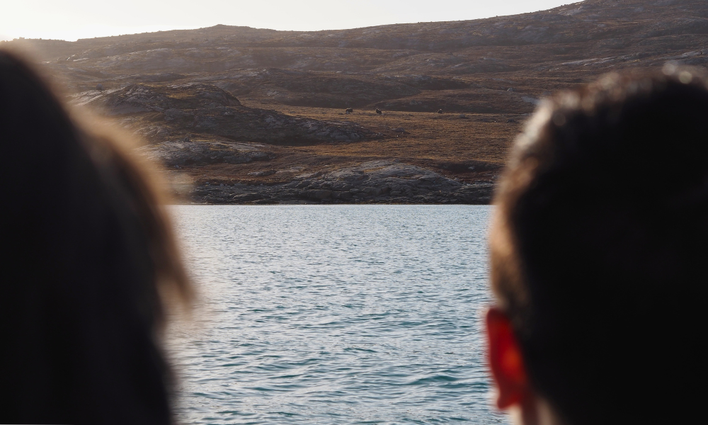 musk-ox-trip