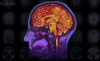 8596839b-7d00-47f8-9da8-747348fbbe8b.png