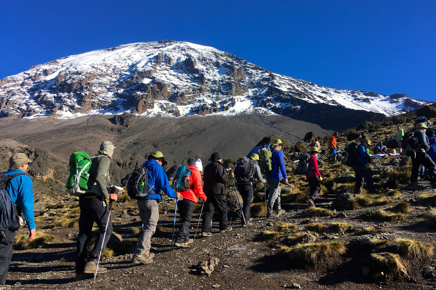 Rejser til | Bestigning af Kilimanjaro