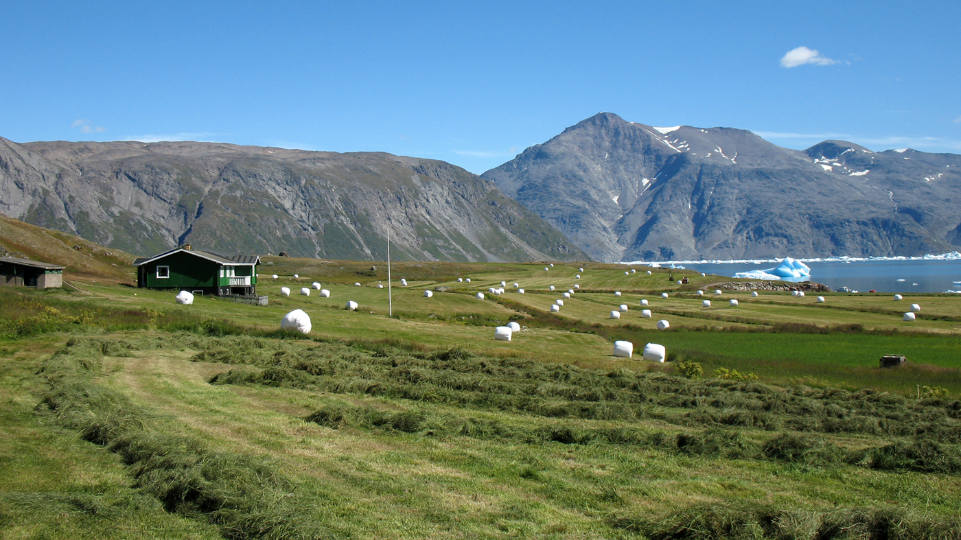 Hytte, marker, fjord med isbjerge og store fjelde. 